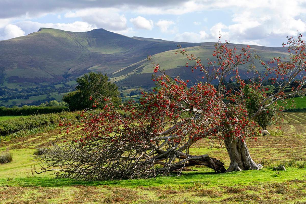 Picturesque 2 Bedroom Miners Cottage Near Bike Park Wales & Brecon Beacons Merthyr Tydfil Bagian luar foto